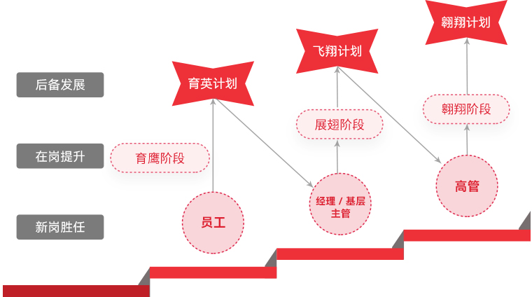 sunbet "雄鹰计划"人才梯队培养